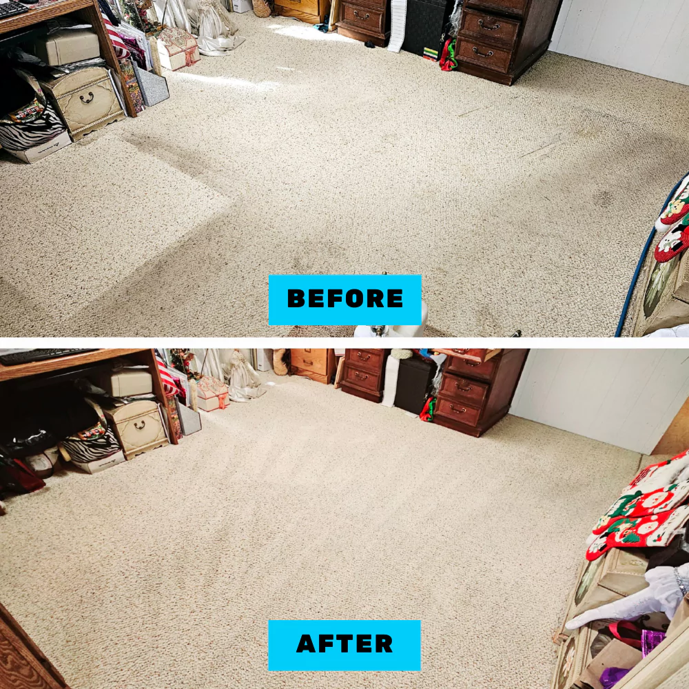 Carpet Cleaning In San Diego