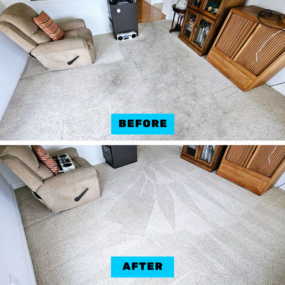 Before After Carpet Cleaning