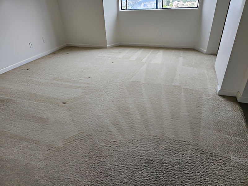 The Top 5 Mistakes to Avoid When Cleaning Your Carpets and Ducts