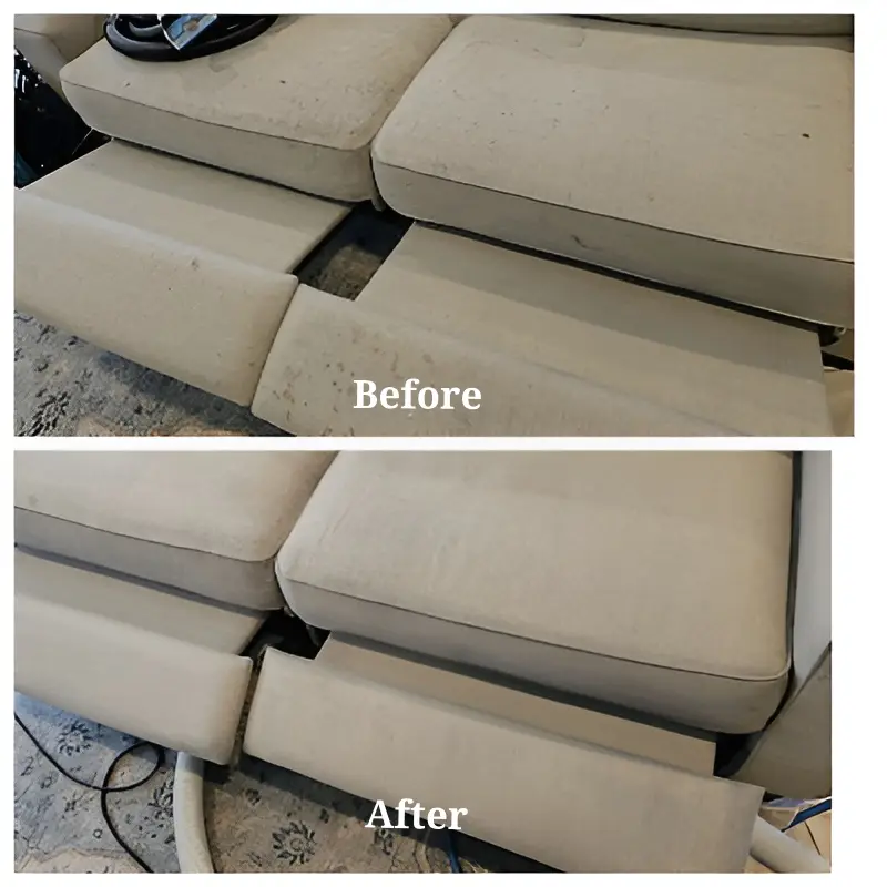 Before After Upholstery Cleaning