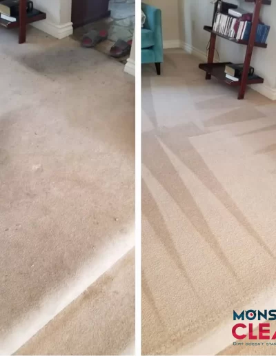 carpet cleaning before after